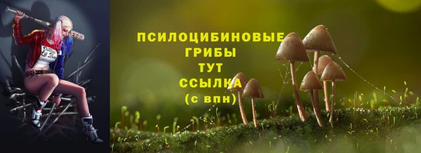 дурь Беломорск