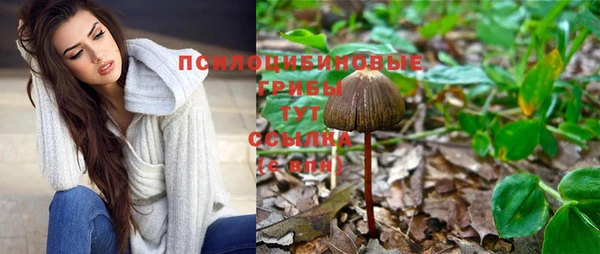 гашиш Белокуриха
